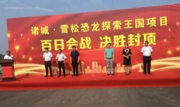 诸城最新爆料,揭秘城市变革背后的故事