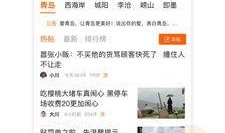 青岛新闻匿名爆料,匿名爆料揭示惊人内幕